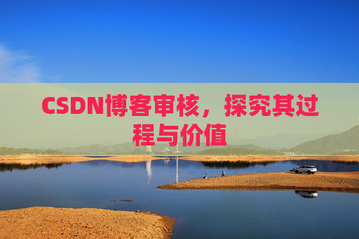 CSDN博客审核，探究其过程与价值